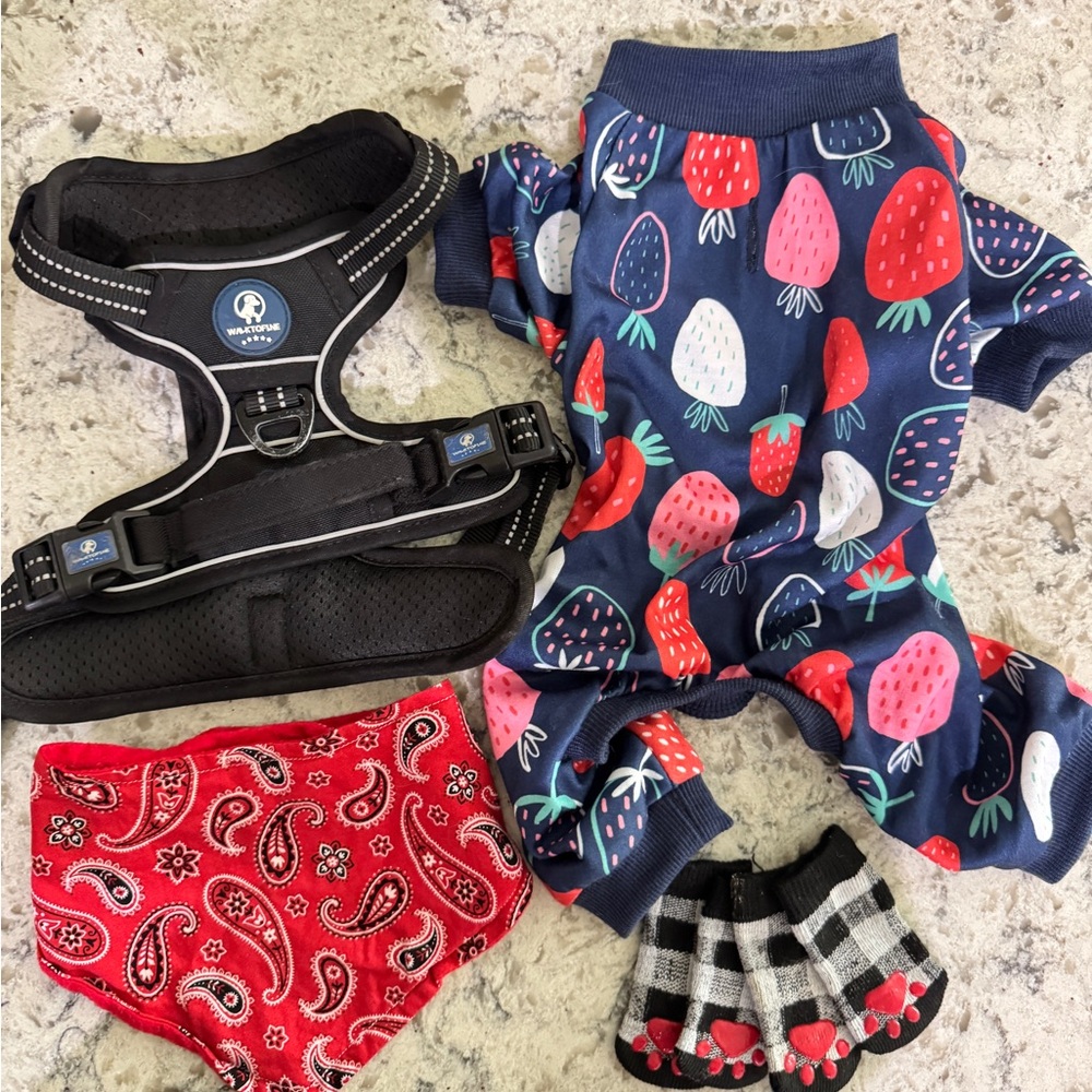 Colorful Dog Outfit Set with Harness